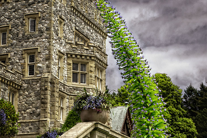 Castle Garden Walking Tour